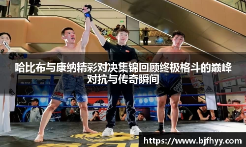 哈比布与康纳精彩对决集锦回顾终极格斗的巅峰对抗与传奇瞬间